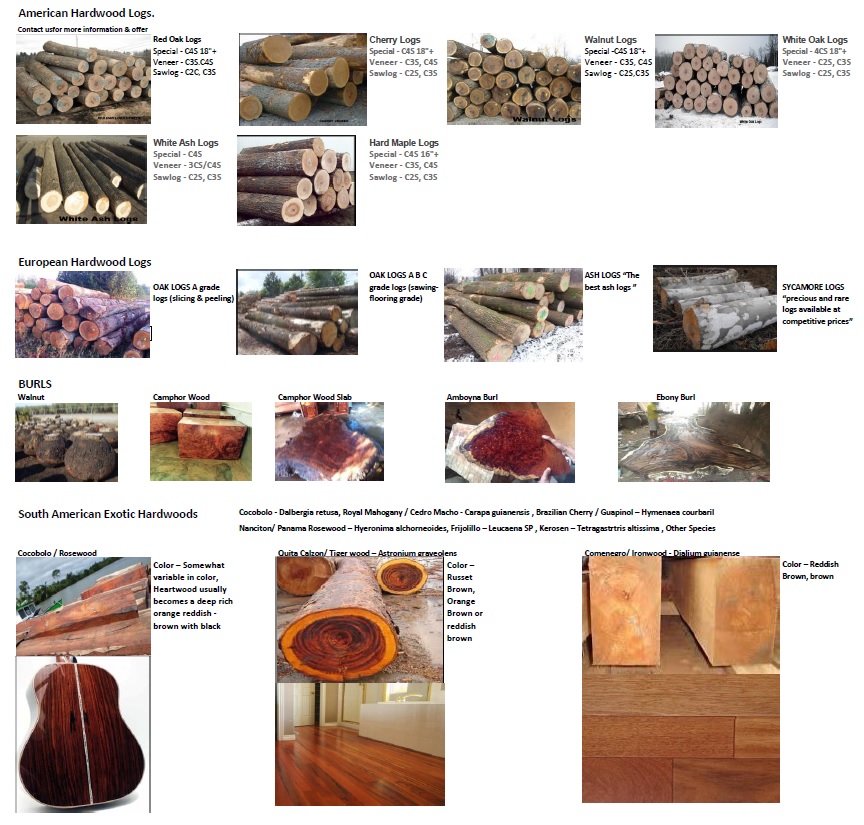 Timber Temporary Image