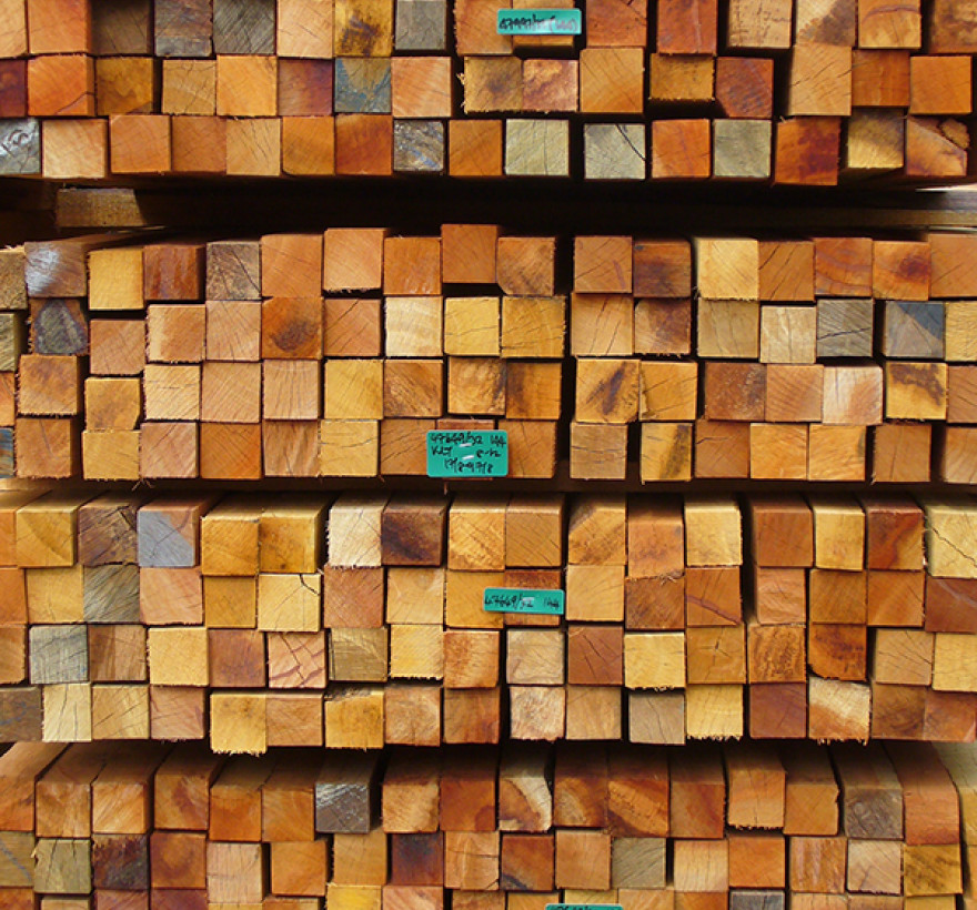 Timber Temporary Image